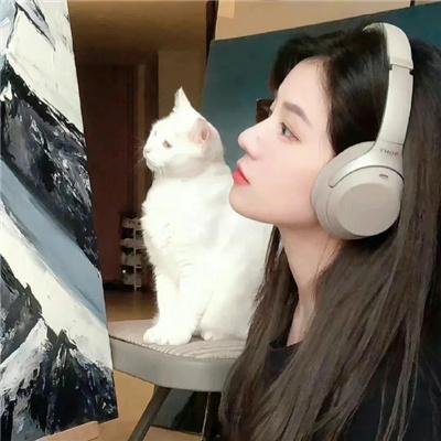 完美风暴